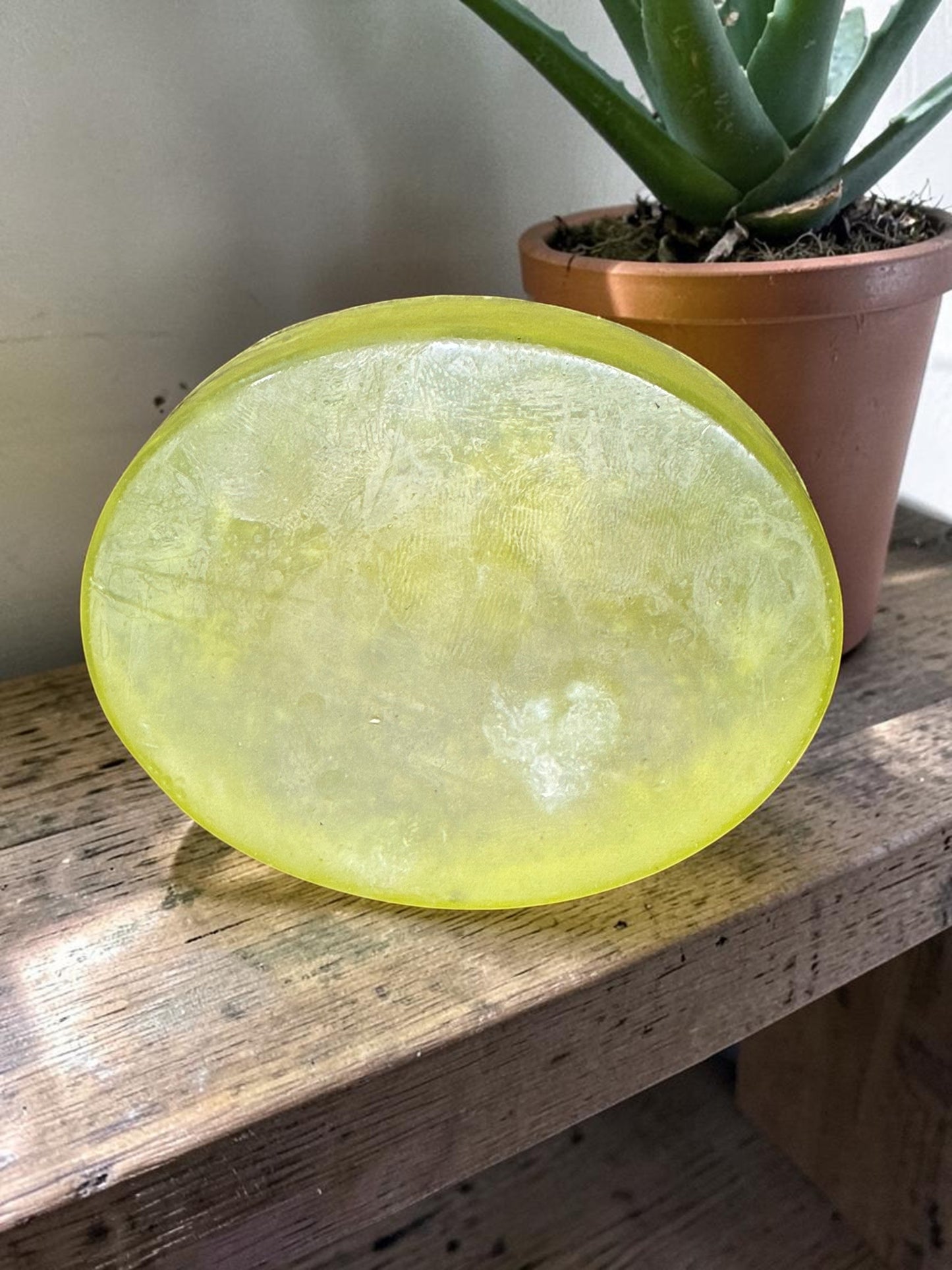 Aloe Glow – Aloe vera and Lemongrass Soap